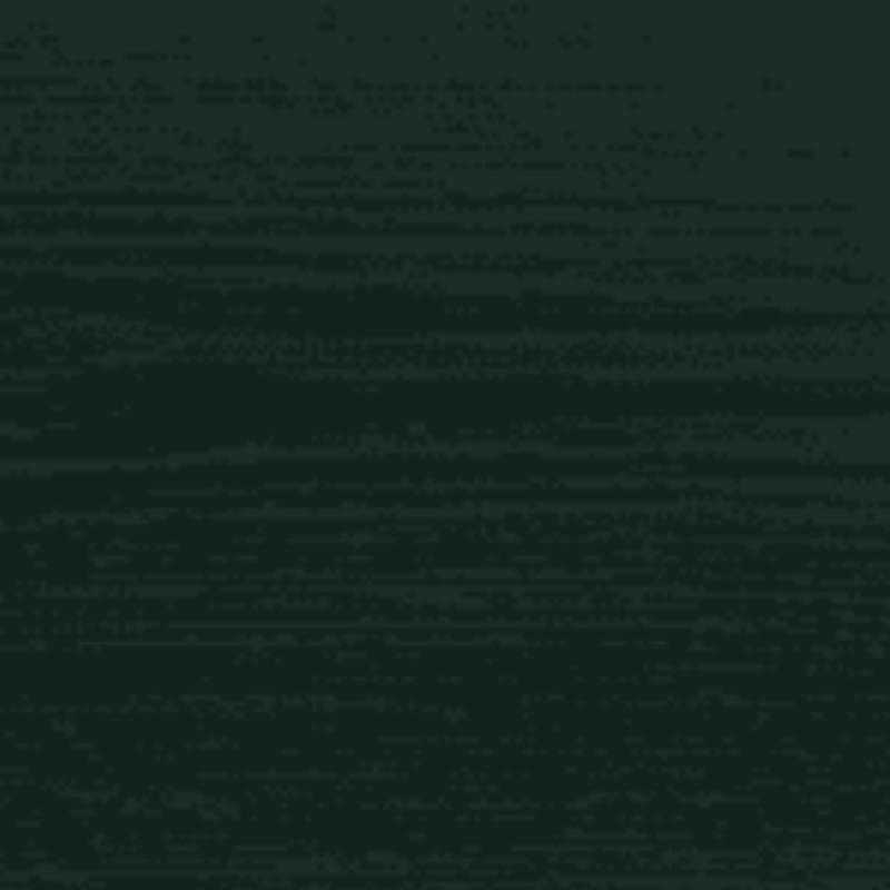 vivid-opaque-spruce-painted-cladding-ral6009-spruce-green